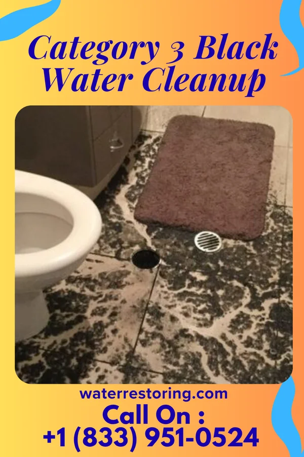 Category 3 Black Water Cleanup in Weedpatch, CA